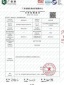廠家歐式繡花除甲醛防水遮光窗簾百葉卷簾水晶拉珠柔紗簾定制