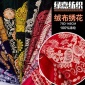 全滌綸經(jīng)編網(wǎng)布面料 亮片女裝連衣裙布料 電腦繡花加工廠