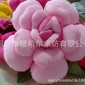 60cm彩色玫瑰花抱枕靠墊 仿真花 婚慶生日禮品