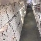 德絨白坯黑絲坯布**D144F30D氨綸四面彈雙面磨毛拉毛布秋冬內(nèi)衣保暖高彈超柔軟新型面料